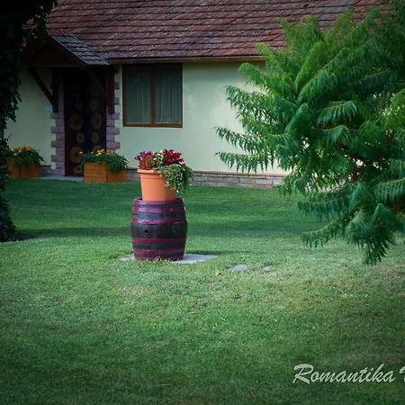 Romantika Vendeghaz Penzion Bordány