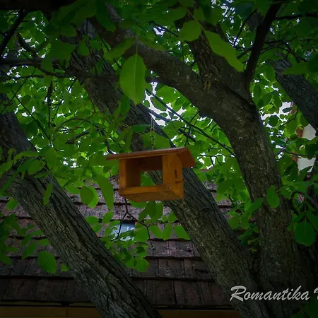 Romantika Vendeghaz Guest house *